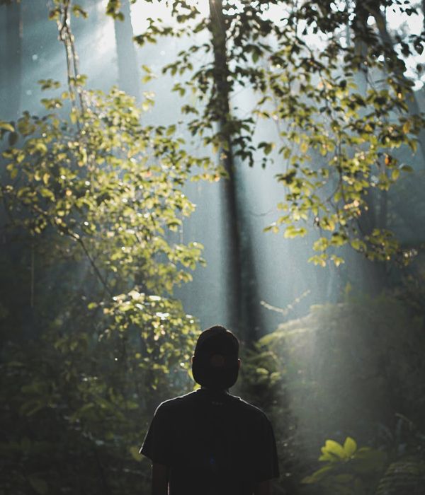 Silhouette of a person at sunrise doing a light cardio pose, with emerald green highlights.